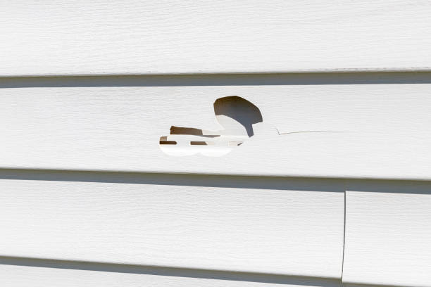 Best Same-Day Junk Removal Services  in Colon, MI